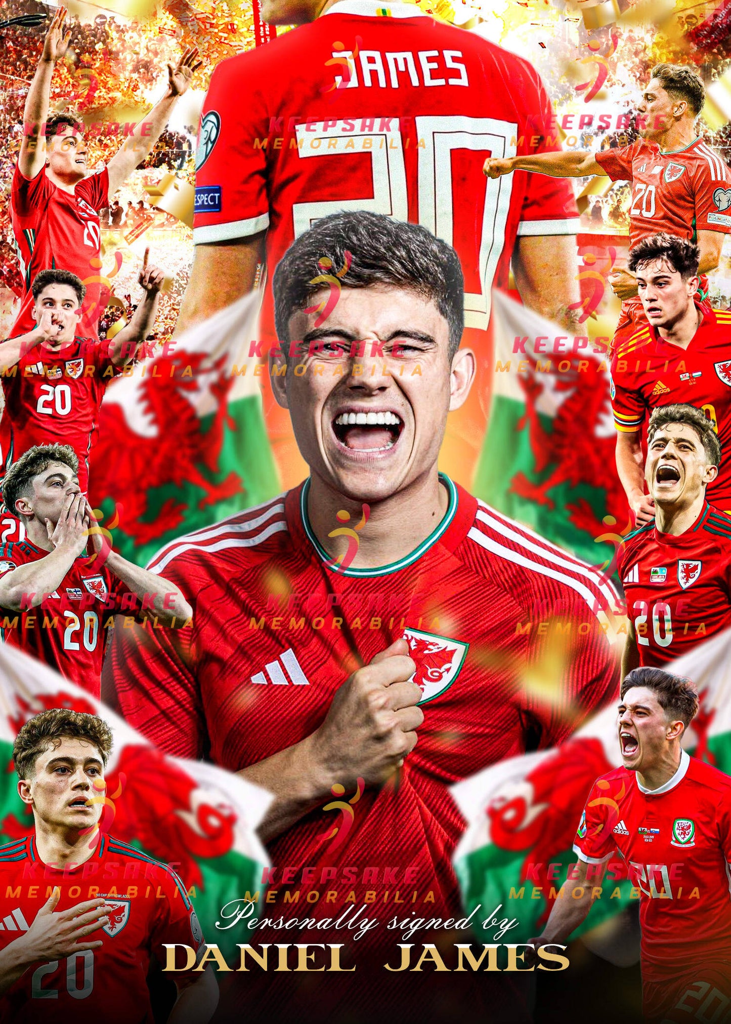 Daniel James Signed  - Video/Photo Proof  - COA - Wales